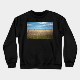 Field of reed Crewneck Sweatshirt